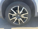 Thumbnail image of 2019 Honda Pilot at Empire Toyota of Huntington