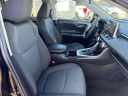 Thumbnail image of 2023 Toyota RAV4 at Holiday Chevrolet Ford  NEW