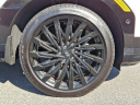 Thumbnail image of 2025 Hyundai SANTA FE at Conicelli Hyundai NEW V2