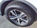 Thumbnail image of 2016 Toyota RAV4 at Serra Buick Gmc Champaign