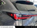 2025 Lexus NX 450h+ Base at Stoler Lexus