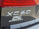 Thumbnail image of 2024 Volvo XC60 Recharge at Brown Daub Volvo Cars Lehigh Valley