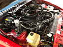Thumbnail image of 1984 Pontiac Firebird at Buyavette of Atlanta, GA