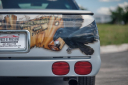 Thumbnail image of 1985 Chevrolet El Camino at Past & Present Motor Cars