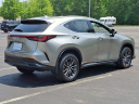 Thumbnail image of 2024 Lexus NX 350 at Lexus of Cherry Hill