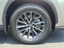 Thumbnail image of 2024 Lexus NX 350 at Lexus of Cherry Hill