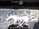 Thumbnail image of 2019 Ford Mustang at Gael Auto Sales