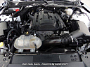 Thumbnail image of 2019 Ford Mustang at Gael Auto Sales
