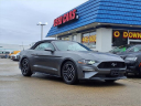 Thumbnail image of 2023 Ford Mustang at A & B Motors