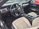 2023 Ford Mustang EcoBoost at A & B Motors