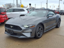 Thumbnail image of 2023 Ford Mustang at A & B Motors
