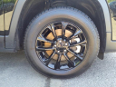 Thumbnail image of 2023 Jeep Cherokee at Douglas Volkswagen