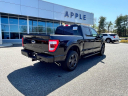 Thumbnail image of 2022 Ford F-150 at Apple Ford Of Lynchburg