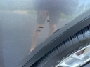 Thumbnail image of 2010 Honda Element at TURNAGE MOTOR CO