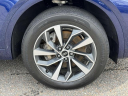 Thumbnail image of 2022 Audi Q5 at Sayville Ford