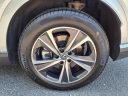 Thumbnail image of 2023 Lexus RX 350h at Ray Catena Lexus Monmouth