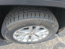 Thumbnail image of 2019 GMC Sierra 1500 at Auffenberg Buick GMC Cadillac of Carbondale
