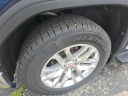 Thumbnail image of 2019 GMC Sierra 1500 at Auffenberg Buick GMC Cadillac of Carbondale
