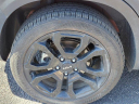 Thumbnail image of 2024 Kia Seltos at Peak Kia Colorado Springs - Used