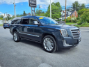 Thumbnail image of 2020 Cadillac Escalade ESV at Opequon Motors