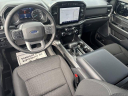 Thumbnail image of 2023 Ford F-150 at BeauTownsendFord of Vandalia, OH