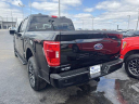Thumbnail image of 2023 Ford F-150 at BeauTownsendFord of Vandalia, OH