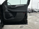 Thumbnail image of 2024 Ford Escape at Lasco Ford