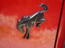 Thumbnail image of 2024 Ford Bronco at Wendle Motors Pre-Owned - Used