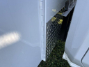 Thumbnail image of 2024 Chevrolet Silverado 2500HD at Uftring Chevy USED
