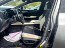 Thumbnail image of 2022 Lexus NX 350 at Rockland Motors