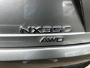 Thumbnail image of 2022 Lexus NX 350 at Rockland Motors