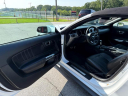 Thumbnail image of 2020 Ford Mustang at Clouse Motor Co. Inc.