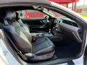 Thumbnail image of 2020 Ford Mustang at Clouse Motor Co. Inc.