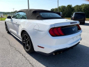 2020 Ford Mustang GT Premium at Clouse Motor Co. Inc.