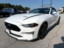 Thumbnail image of 2020 Ford Mustang at Clouse Motor Co. Inc.
