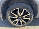2019 Honda Pilot Elite at Wagner Ford Toyota