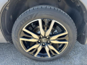 Thumbnail image of 2019 Honda Pilot at Wagner Ford Toyota