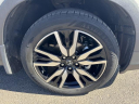 Thumbnail image of 2019 Honda Pilot at Wagner Ford Toyota