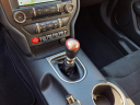 Thumbnail image of 2018 Ford Mustang at Bridgewater Acura