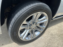 Thumbnail image of 2019 Chevrolet Tahoe at Tapp Motors