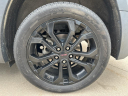 Thumbnail image of 2022 GMC Terrain at Bergstrom Chevrolet GMC Cadillac of Manitowoc