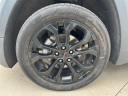Thumbnail image of 2022 GMC Terrain at Bergstrom Chevrolet GMC Cadillac of Manitowoc