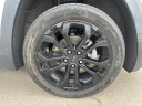 Thumbnail image of 2022 GMC Terrain at Bergstrom Chevrolet GMC Cadillac of Manitowoc