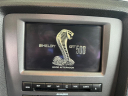 Thumbnail image of 2010 Ford Shelby GT500 at 712 AUTO SALES