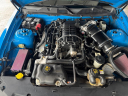 Thumbnail image of 2010 Ford Shelby GT500 at 712 AUTO SALES