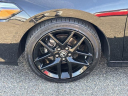 Thumbnail image of 2022 Honda Civic at Millennium Honda