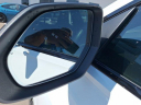 Thumbnail image of 2021 Audi SQ8 at FreemanToyota USED