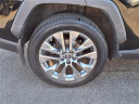 Thumbnail image of 2019 Toyota RAV4 at Toyota Universe
