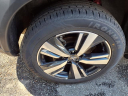 Thumbnail image of 2023 Nissan Rogue at Nissan 46