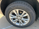 Thumbnail image of 2021 Cadillac XT5 at Wilson Auto Family